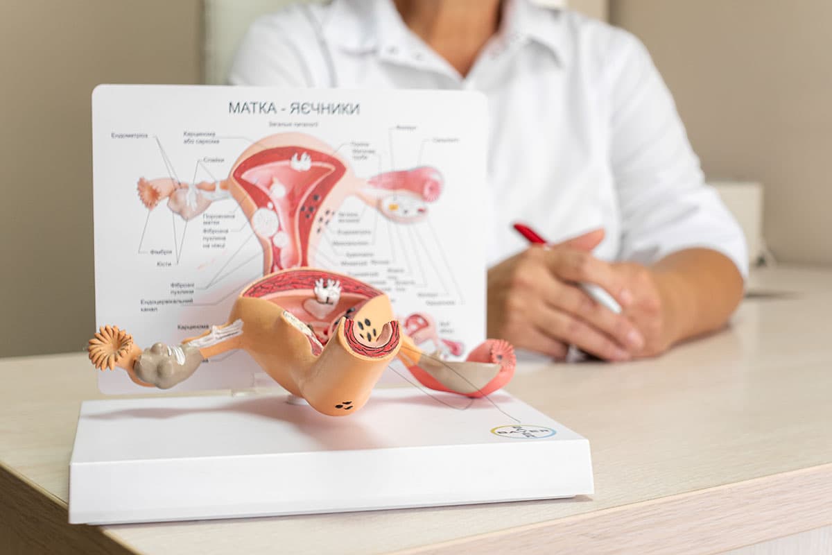 gynecology2