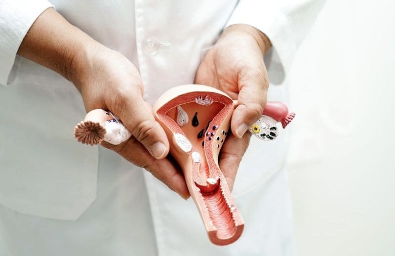 gynecology4