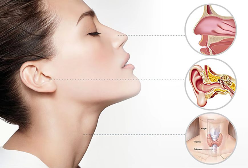 Отоларингология