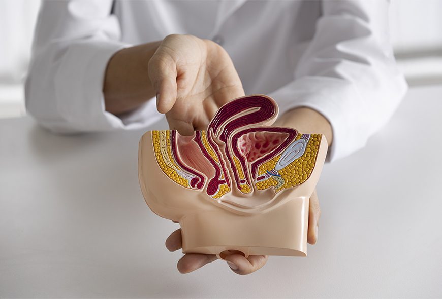 proctology(1)